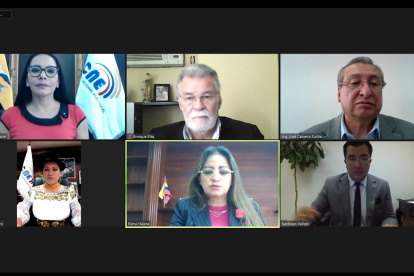 El organismo electoral se reunió de forma virtual la noche del 4 de agosto para aprobar el límite del gasto electoral.