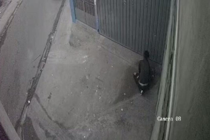 Los animalitos aparecen estrangulado o asesinados a pedradas.