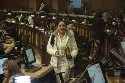 Propuestas. Pazmiño se sumó ayer a los pedidos de comparecencia del consejero Aparicio Caicedo.