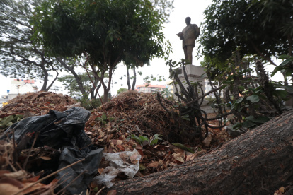 Sucio. Aunque cruzar al redondel donde está la estatua al Dr. Pío Jaramillo es complicado, acumula mucha basura.