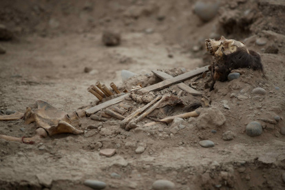 Detalle de los restos de un cadáver colonial, con una cruz pegada a su caja toráxica, hallado en el zoológico Parque de las Leyendas, el pasado 8 de agosto, en Lima (Perú). EFE/Paolo Aguilar