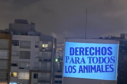 Los activistas animalistas realizaron una vigilia durante la noche del jueves 18 de agosto previo a la entrega del proyecto de ley