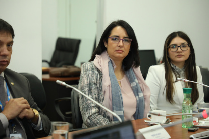 Comparecencia. Carola Ríos, directora del Senae, rindió su testimonio en la Comisión de Fiscalización el pasado 27 de julio. Ahora le toca volver.