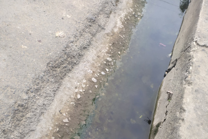 Problema. Las aguas servidas estancadas afectan a la ciudadela.