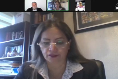 La consejera Nájera lanzó la acusación en medio de una sesión del pleno del CNE.