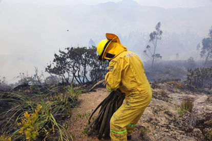 Informe. Aún no se determina las causas de los siniestros. El Servicio de Gestión de Riesgos estudia los lugares afectados.