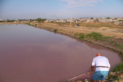 La estructura no había recibido mantenimiento al menos hace dos décadas