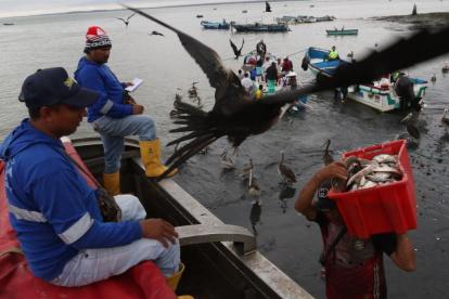 La principal actividad económica de Posorja es la pesca