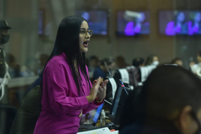 La interpelante Viviana Veloz fue la primera en intervenir en la sesión del Pleno durante el juicio político.