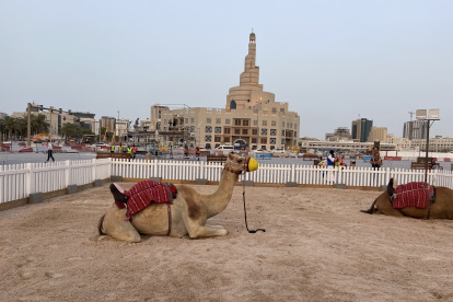Un espacio con arena y camellos dentro del mercado de Souq Waqif es el lugar ideal para una foto.