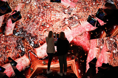 Visitantes del International Consumer Electronics Fair (Internationale Funkausstellung Berlin, IFA)