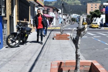 Centro. En las calles Portoviejo y Versalles, en el centro-norte, hay decenas de árboles que prácticamente están muertos. La gente dice que los podaron y se marchitaron.