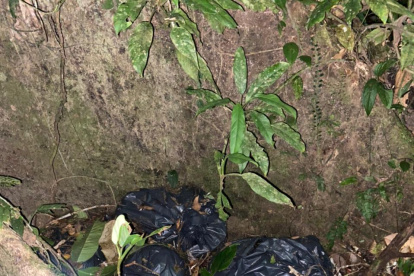 Material. Militares recibieron información de la presencia de material explosivo.