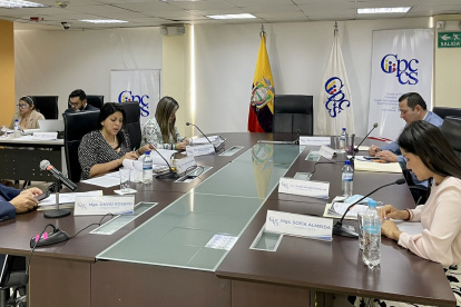 La sesión del Pleno del Consejo de Participación se desarrolló sin la presencia de Hernán Ulloa.