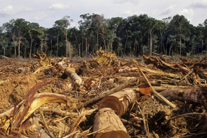 Dato. El análisis enumera los cantones donde más se evidencia la problemática ambiental.