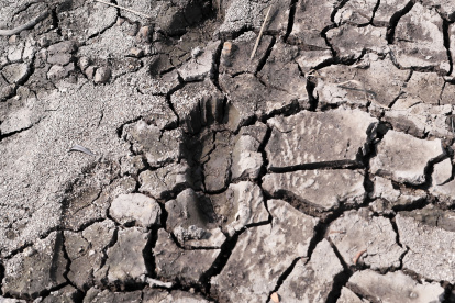 El planeta está muy afectado por el cambio climático