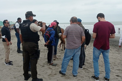 Hecho. Las autoridades controlan ahora que los paseos no se ejecuten.