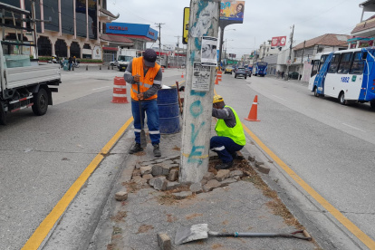 Un tramo del parterre de la Guillermo Pareja fue reparado