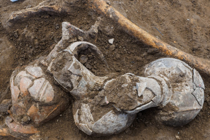 Vasos destinados a acompañar al muerto en el más allá encontradas en un yacimiento de tumbas cananeas de Tel Yehud (Israel).