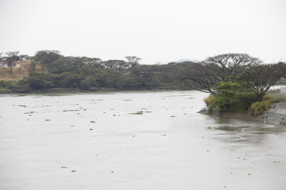 De la cuenca del Daule  dependen más de 5’000.000 de personas, incluyendo a la población de Guayaquil.