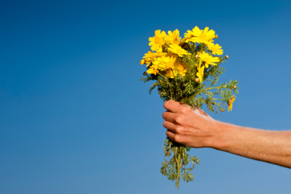Referencial del regalo de flores amarillas.