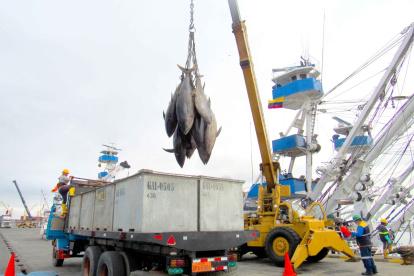 Actividad. Un grupo de trabajadores en las labores de la pesca en la ciudad de Manta, provincia de Manabí.