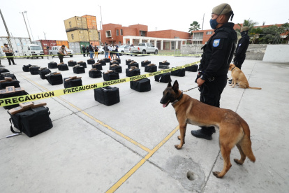 Hecho. El estupefaciente estaba camuflado en un contenedor que pretendía trasladar a Bélgica caja de bananos.