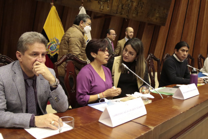 La mamá de María Belén Bernal, Elizabeth Otavalo, compareció en dos comisiones y el Pleno de la Asamblea.