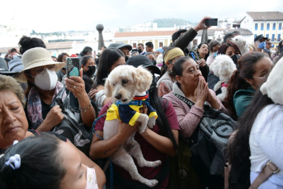 Bendición de mascotas en Quito.