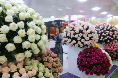 Ayer se inauguró Expo Flor Ecuador 2022, en el Centro de Convenciones Metropolitano de Quito.