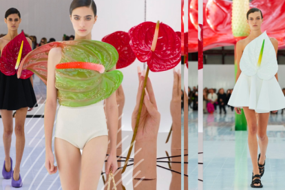 La flor de anturio fue el emblema de la casa Lowe