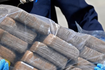 Referencial droga incautada.