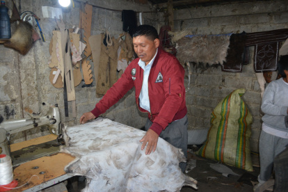 Quisapincha. Manuel Cusquillo prepara una pieza de cuero sobre la que trabajará. Habita en medio páramo.