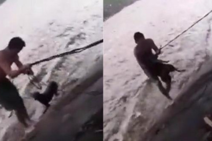 El excampéon mundial de boxeo Félix Alvarado arriesgó su vida para rescatar a un perro dentro de un cauce fluvial en Managua, durante el ciclón tropical Julia