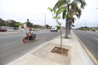 VALLAS PUBLICITARIAS ... FD: CARLOS KLINGER .. 12-10-2022