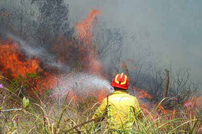 Incendio forestal en Cuenca