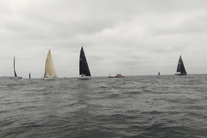 Los veleros participantes irán este sábado 15 hasta Puerto Ayora.