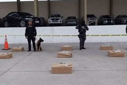 El alcaloide estaba camuflado en cajas de calamar