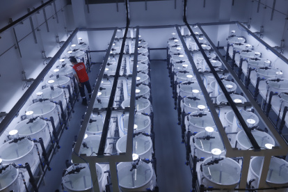 Instalaciones. El centro de investigación de Skretting queda en Durán.