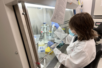 Un miembro del laboratorio de Barreiro trabaja en la campana de cultivo de tejidos. Crédito: Universidad de Chicago Medicine.