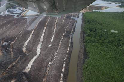 VISTA AÉREA O PANORÁMICA DE PARTE DEL MANGLAR DEFORESTADO, Y SOBRE LA CUAL SE CONSTRUIRÁ PISCINAS PARA LA CRIANZA DE CAMARÓN |
Sobrevuelo por camaroneras en donde se tala indiscriminadamente el manglar. Agencia (ag-extra)