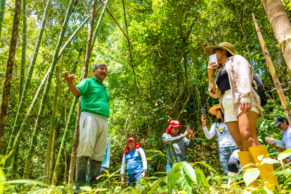 Senderos. El recorrido se vuelve fantástico al observar las diferentes especies que se encuentran en el camino.