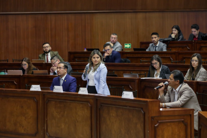 El excoordinador de veeduría al proceso del contralor, Guido Egas (d), indicó la influencia del Ejecutivo.