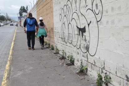 Remedio. Para evitar la proliferación de grafitis y otras suciedades en las paredes, siembran las plantas