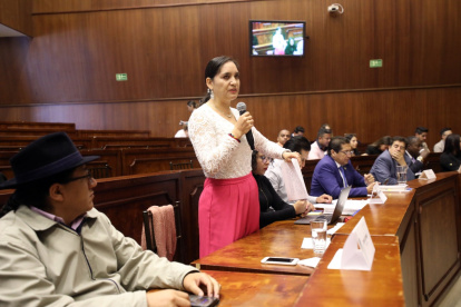 Interpelante. Mireya Pazmiño, de Pachakutik, presenta las pruebas de cargo contra los cuatro vocales del CPCCS.