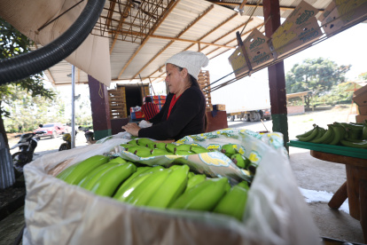 Producción. Menos frutas en fincas afectó la oferta.