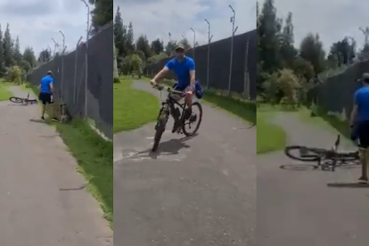 El hombre que ataca al perro argumentaba que lo hacía porque este habría agredido al suyo