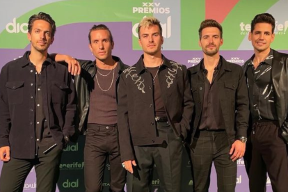 Integrantes de Dvicio