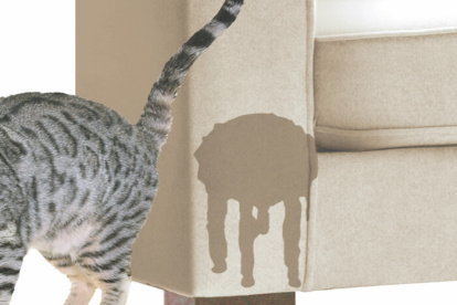 Comunicación. Cuando un gato frota su cara con las personas, los muebles… deposita unas feromonas que liberan un mensaje de felicidad.