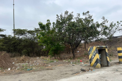 La basura de esta oreja víal se ha vuelto otro "adorno", además de la vegetación que está presente.